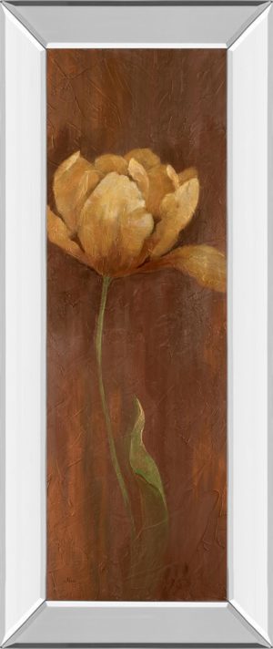 18 in. x 42 in. “Golden Tulip I” By Nan Mirror Framed Print Wall Art