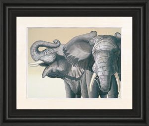 22 in. x 26 in. “Elephant” By Peter Moustakas Framed Print Wall Art