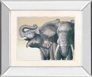 22 in. x 26 in. “Elephant” By Peter Moustakas Mirror Framed Print Wall Art