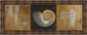 18 in. x 42 in. “Seashells Il” By Patricia Pinto Framed Print Wall Art