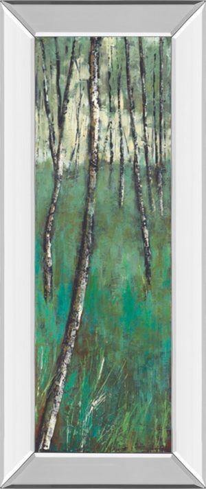 18 in. x 42 in. “Nature Companion Il” By Solis Mirror Framed Print Wall Art