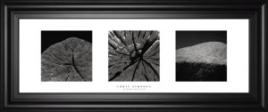 18 in. x 42 in. “Elements Of Nature 2” By Chris Simpson Framed Print Wall Art