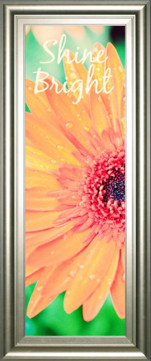 18 in. x 42 in. “Shine Bright Daisy” By Susan Bryant Framed Print Wall Art