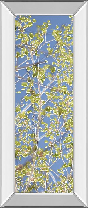 18 in. x 42 in. “Spring Poplars I” By Sharon Chandler Mirror Framed Print Wall Art
