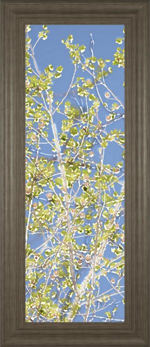 18 in. x 42 in. “Spring Poplars Il” By Sharon Chandler Framed Print Wall Art