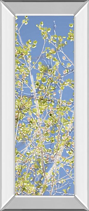 18 in. x 42 in. “Spring Poplars Il” By Sharon Chandler Mirror Framed Print Wall Art