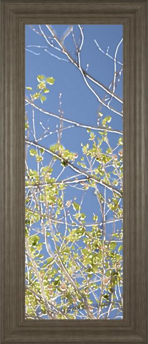 18 in. x 42 in. “Spring Poplars IV” By Sharon Chandler Framed Print Wall Art