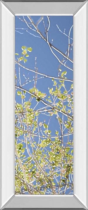 18 in. x 42 in. “Spring Poplars IV” By Sharon Chandler Mirror Framed Print Wall Art