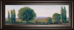 18 in. x 42 in. “Panoramic Treeline I” By Tim Otoole Framed Print Wall Art