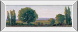 18 in. x 42 in. “Panoramic Treeline I” By Tim Otoole Mirror Framed Print Wall Art