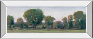 18 in. x 42 in. “Panoramic Treeline Il” By Tim Otoole Mirror Framed Print Wall Art