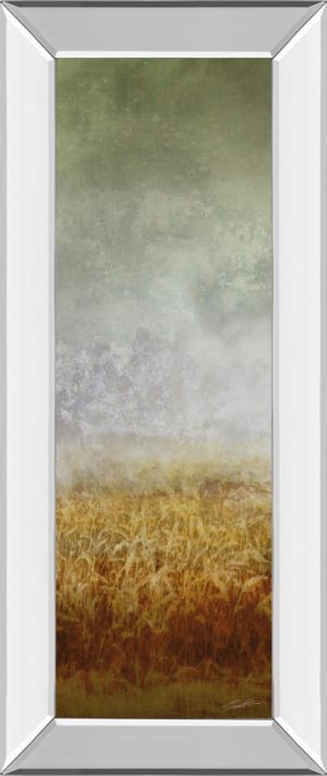 18 in. x 42 in. “Lush Field I” By John Butler Mirror Framed Print Wall Art