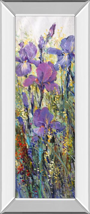 18 in. x 42 in. “Iris Field I” By Tim Otoole Mirror Framed Print Wall Art