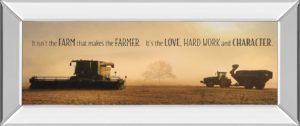 18 in. x 42 in. “The Farmer” By Lori Dieter Mirror Framed Photo Print Wall Art