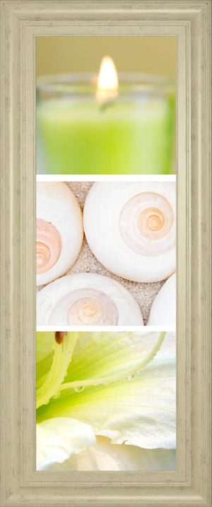 18 in. x 42 in. “Facets Of Spring Il” By Irena Orlov Framed Print Wall Art