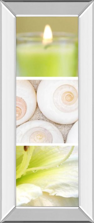 18 in. x 42 in. “Facets Of Spring Il” By Irena Orlov Mirror Framed Print Wall Art