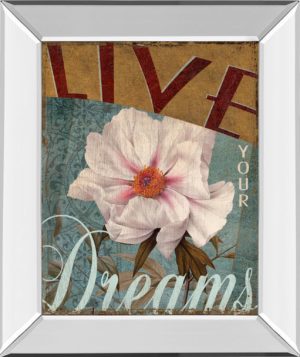 22 in. x 26 in. “Live Your Dream” By Kelly Donovan Mirror Framed Print Wall Art