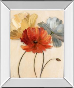 22 in. x 26 in. “Poppy Palette l” By Nan Mirror Framed Print Wall Art