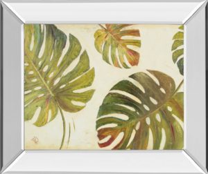 22 in. x 26 in. “Organic I” By Patricia Pinto Mirror Framed Print Wall Art