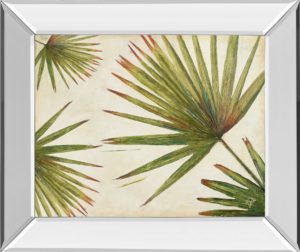 22 in. x 26 in. “Organic Il” By Patricia Pinto Mirror Framed Print Wall Art