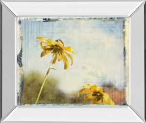 22 in. x 26 in. “Blackeyed Susan Il” By Meghan Mcsweeney Mirror Framed Print Wall Art