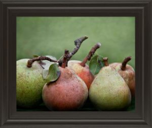 22 in. x 26 in. “Comice Pear I” By Rachel Perry Framed Print Wall Art