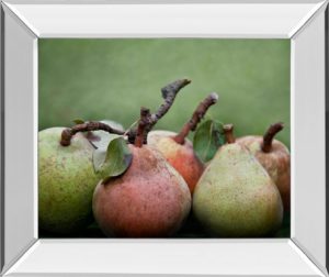 22 in. x 26 in. “Comice Pear I” By Rachel Perry Mirror Framed Print Wall Art