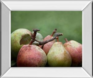 22 in. x 26 in. “Comice Pear Il” By Rachel Perry Mirror Framed Print Wall Art