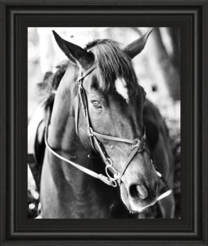 22 in. x 26 in. “Derby I” By Susan Bryant Framed Print Wall Art