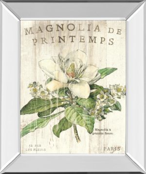 22 in. x 26 in. “Magnolia De Printemps” By Sue Schlabach Mirror Framed Print Wall Art