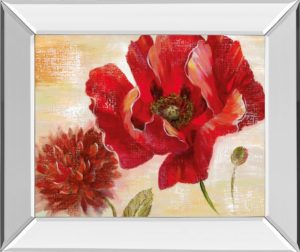 22 in. x 26 in. “Passion For Poppies Il” By Nan Mirror Framed Print Wall Art
