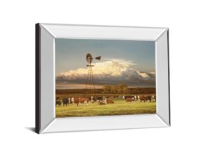 22 in. x 26 in. “Summer Pastures” By Bonnie Mohr Mirror Framed Print Wall Art