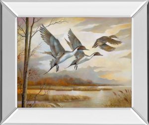 22 in. x 26 in. “Pintails” By Ruanne Manning And Mossy Oak Native Living Mirror Framed Print Wall Art