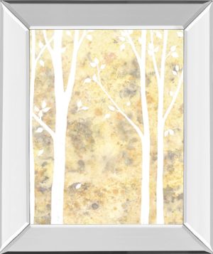 22 in. x 26 in. “Simple State Il” By Debbie Banks Mirror Framed Print Wall Art