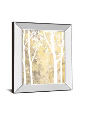 22 in. x 26 in. “Simple State I” By Debbie Banks Mirror Framed Print Wall Art