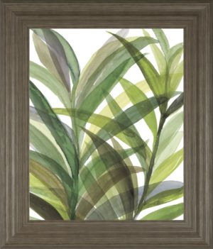 22 in. x 26 in. “TropicalÂ  Greens Il” By Rebecca Meyers Framed Print Wall Art