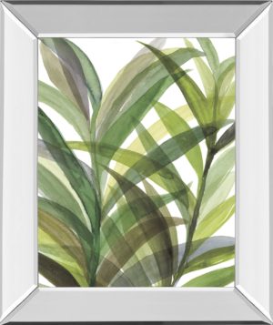 22 in. x 26 in. “TropicalÂ  Greens Il” By Rebecca Meyers Mirror Framed Print Wall Art