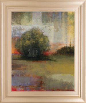 22 in. x 26 in. “Radiance I” By Williams Framed Print Wall Art