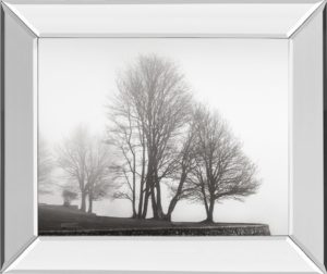 22 in. x 26 in. “Fog And Trees At Dusk” By Lsh Mirror Framed Print Wall Art