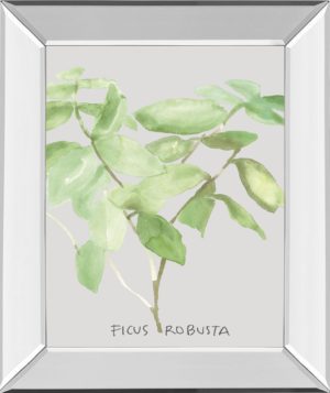 22 in. x 26 in. “Ficus Robusta” By Katrien Soeffers Mirror Framed Print Wall Art
