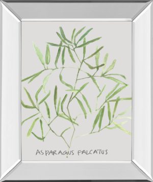 22 in. x 26 in. “Asparogus Falcatus” By Katrien Soeffers Mirror Framed Print Wall Art