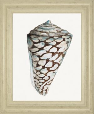 22 in. x 26 in. “Modern Shell With Teal Il” By Patricia Pinto Framed Print Wall Art