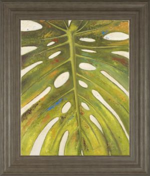 22 in. x 26 in. “Tropical Leaf Il” By Patricia Pinto Framed Print Wall Art