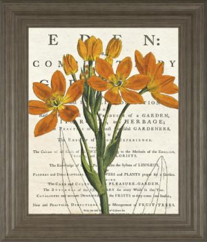 22 in. x 26 in. “Eurphoria Botany” By Sue Schlabach Framed Print Wall Art