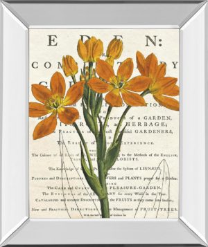 22 in. x 26 in. “Eurphoria Botany” By Sue Schlabach Mirror Framed Print Wall Art