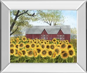 22 in. x 26 in. “Sunshine” By Billy Jacobs Mirror Framed Print Wall Art
