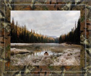 22 in. x 26 in. “Reflecting Nature” By Andrew Geiger Photo Print Framed Wall Art