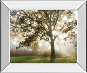 22 in. x 26 in. “Morning Calm” By Lee Frost Mirror Framed Print Wall Art