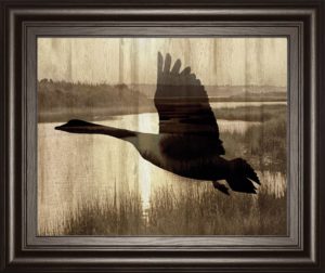 22 in. x 26 in. “Journey” By Tania Bello Framed Goose Photo Print Wall Art