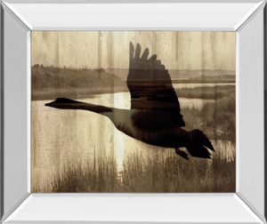 22 in. x 26 in. “Journey” By Tania Bello Mirror Framed Goose Photo Print Wall Art